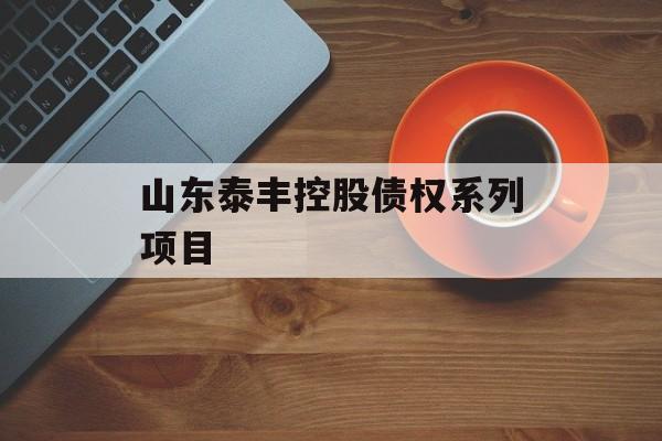 山东泰丰控股债权系列项目