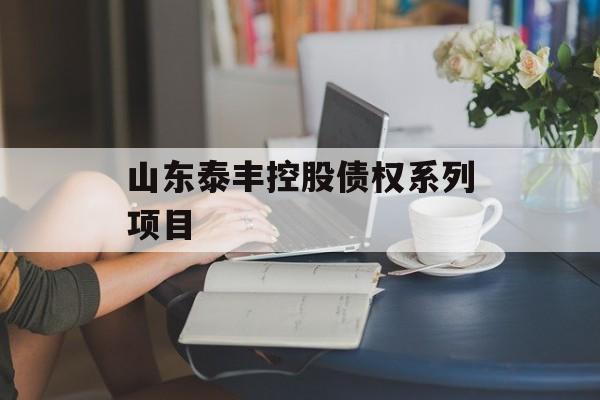山东泰丰控股债权系列项目
