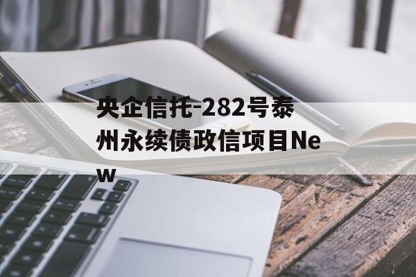 央企信托-282号泰州永续债政信项目New